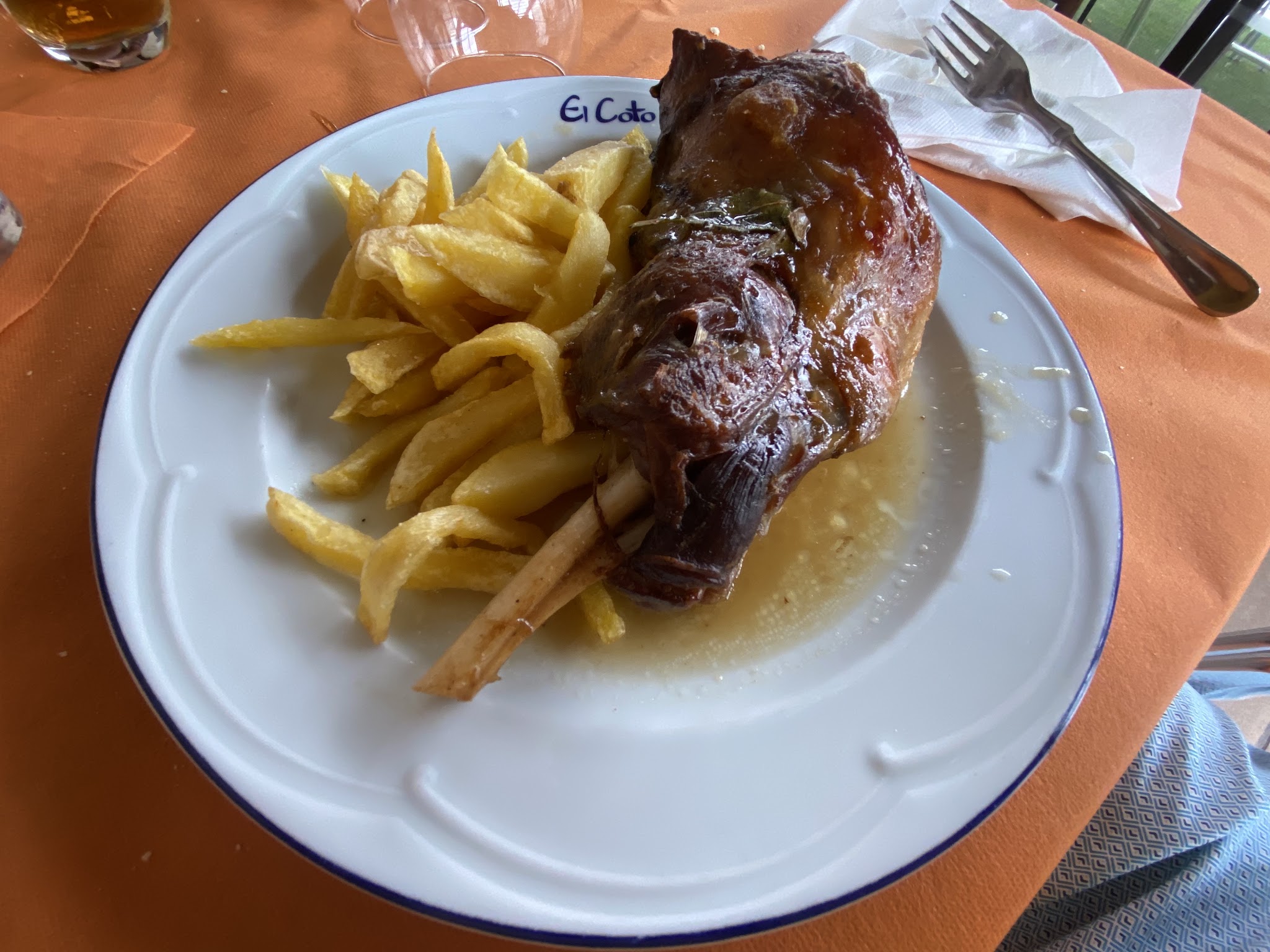 Roasted meat and golden fries on a white plate
